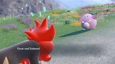 sturdy endeavor pokemon.